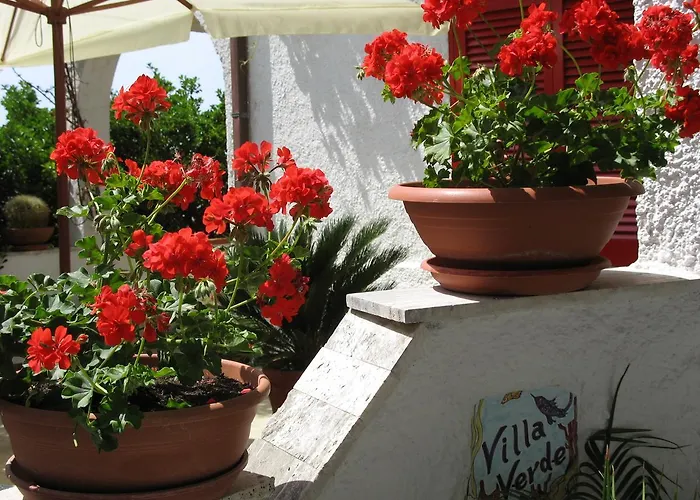 Albergo Villa Verde Hotel Palinuro